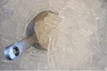An image of ice cubes and a scoop
